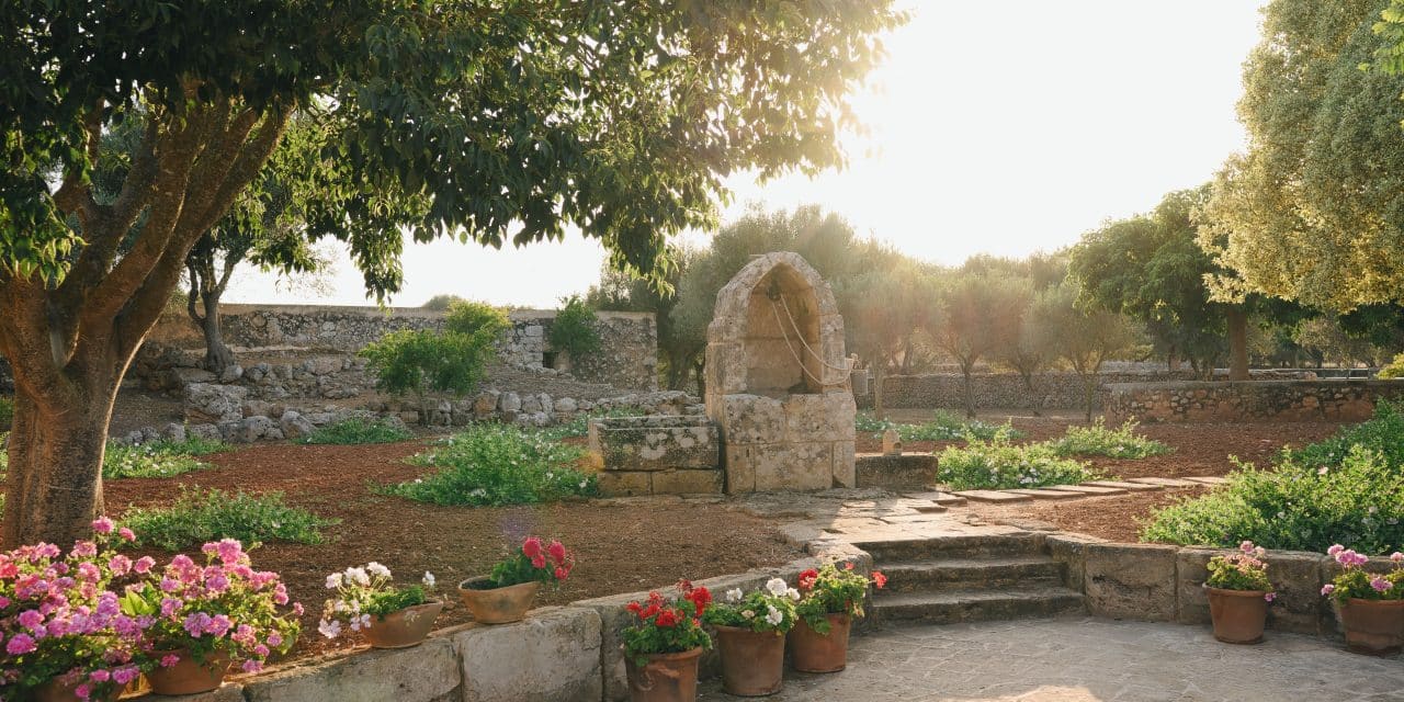 Boda campestre: cómo organizar una celebración con encanto en plena naturaleza